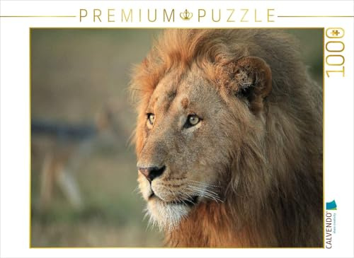 CALVENDO Puzzle Löwen – Morgenspaziergang | 1000 Teile Lege-Größe 64 x 48 cm Foto-Puzzle für glückliche Stunden