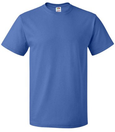 Fruit of the Loom Men's T-Shirt, Royal Blue, M