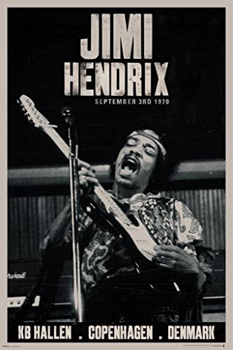 Pyramid International 'Kopenhagen' Maxi Poster, 61 x 91.5 cm