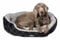 Nobby Komfort Bett oval CENO schwarz / grau L x B x H: 55 x 50 x 21 cm