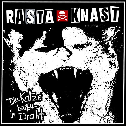 Die Katze Beißt in Draht