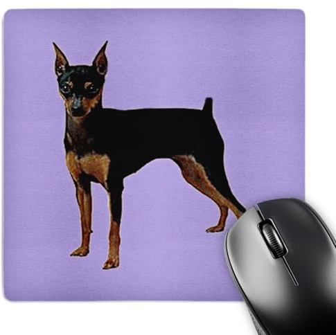 3dRose mp_591_1 8 x 8-Inch Miniature Pinscher Mouse Pad