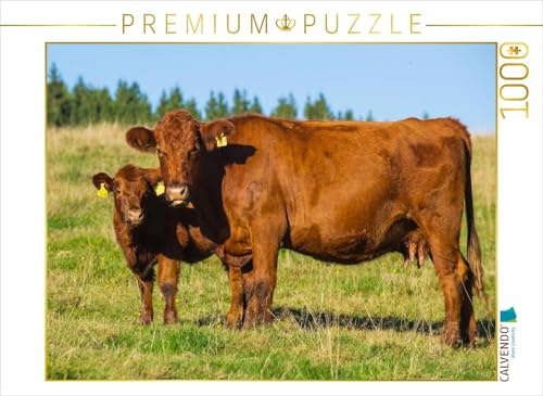 CALVENDO Puzzle EIN Motiv aus dem Kalender EIN Herz für Rinder | 1000 Teile Lege-Größe 64 x 48 cm Foto-Puzzle für glückliche Stunden