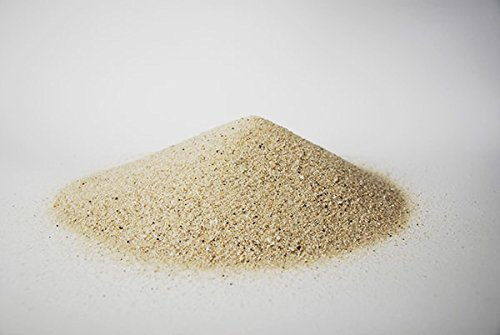 Triops King Aquarienkies für Urzeitkrebse 3 Kilogramm