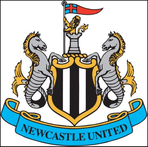 NEWCASTLE UNITED Mouse Mat - Size 24cm X 20cm