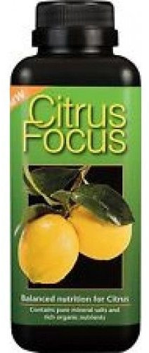 citrus focus 100ml growth technology