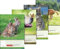 10X BRUNNEN Hausaufgabenheft A5 48Bl Tiermotive