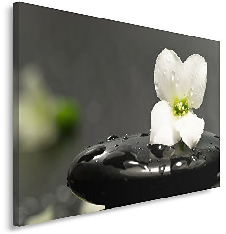 Feeby Frames, Tableau seul panneau, Tableau imprimé xxl, Tableau imprimé sur toile, Tableau deco, Canvas 30x40 cm, ZEN, GALET, FLEUR, NOIR ET BLANC