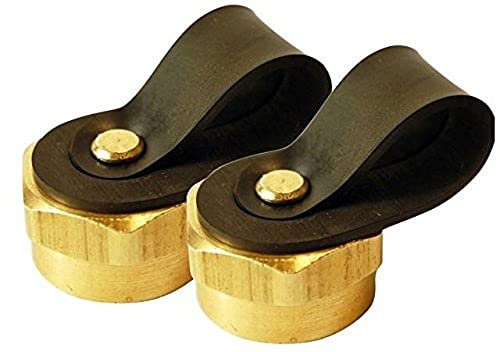 Mr. Heater F276400 2 Pack Propane Brass Caps, Multicolored, Regular