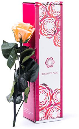 Rosen-Te-Amo | Infinity Rose Pfirsich am Stiel - Rosenduft |Echte Rosen Geburtstagsgeschenk für Frauen, Ewige Rose in Geschenkbox Konservierte Blume zum Weihnachten, Valentinstag, Mama, Deko