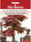 Bonsai-Samen Rotblättriger Fächerahorn