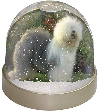 Advanta Group Old English Sheepdog Photo Snow Globe Waterball