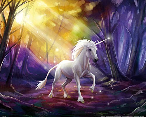 1art1 Einhörner Poster Das Einhorn Im Zauberwald Kunstdruck Bild 50x40 cm