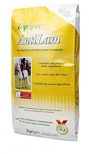 TopSpec TCP0001 Antilam - Clear, Regular