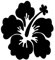FahnenMax Autoaufkleber Sticker Hibiskus Blüte Blume schwarz Aufkleber