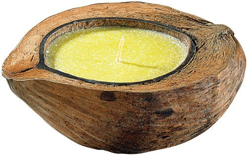 infactory Mückenkerze: Anti-Mücken-Kerze in Kokosnuss-Schale (Citronella Kerze, Citronella gegen Mücken, Moskitonetz)