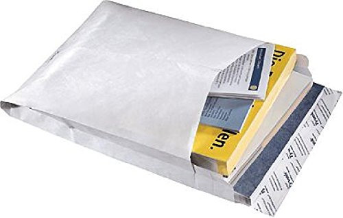 Tyvek Faltentasche/11843, DIN B4, 40mm, Inh. 100