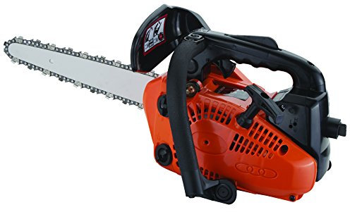 Motosega J-Sky 22,2Cc Cm.25 Carving Kt2500C