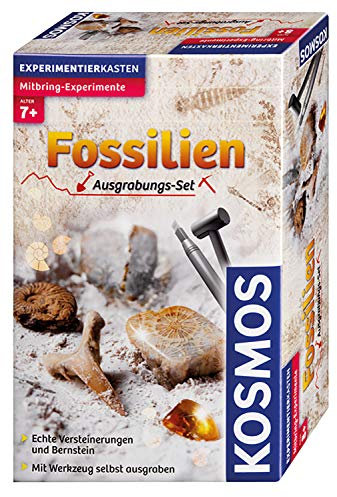 Kosmos 630461 - Fossilien Ausgrabungs-Set, Grabe echte Versteinerungen und Bernstein selbst aus, mit Hammer und Meißel, Experimentierset für Kinder ab 7 Jahre, Edition 2014