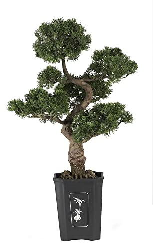 Quasi Natural 4100 - Albero bonsai in cedro, 36 cm, verde