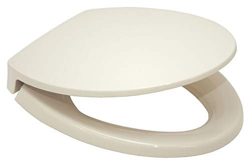 TOTO Lunette de WC Transitional SoftClose, SS114#12
