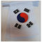 AZ FLAG Ghirlanda 6 Metri 20 Bandiere Corea Del Sud 21x15cm, Bandiera Sudcoreana 15 x 21 cm - Festone Bandierine