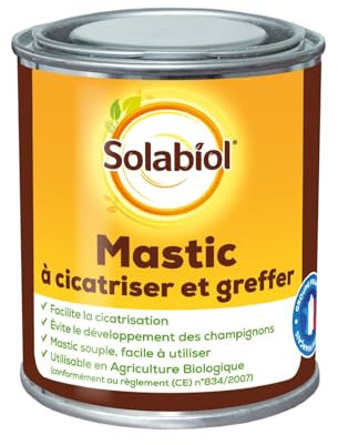 Solabiol SOCICA150 Mastic À Cicatriser Et À Greffer 150 G