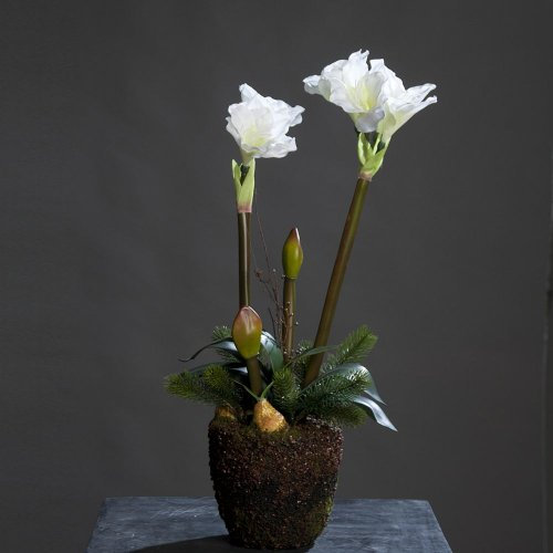 Amaryllis in Erdballen Kunstblume Kunstpflanze, 70 cm, creme