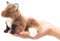 Folk Manis Puppets 2644 – Mini Fox