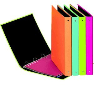 Pagna Ringbuch A4 Trend, 4-Ring-Mechanik,lindgrün