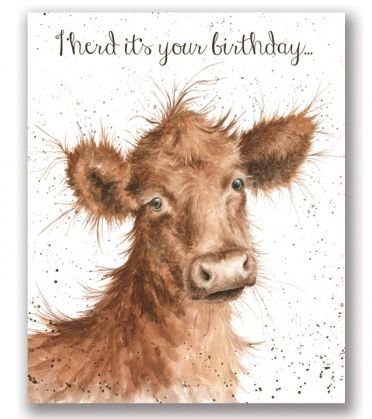 Wrendale Designs, Geburtstagskarte mit Kuhmotiv „I herd it‘s your birthday“ (in englischer Sprache)
