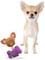 Pet London Chihuahua Character Tiny Dog Toy Bailey - Teacup Breed Plush Squeaky Dog Toy For Chihuahuas Puppy & Adults
