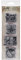 Mini Stempel Anonymous_agw Travel er Streifen