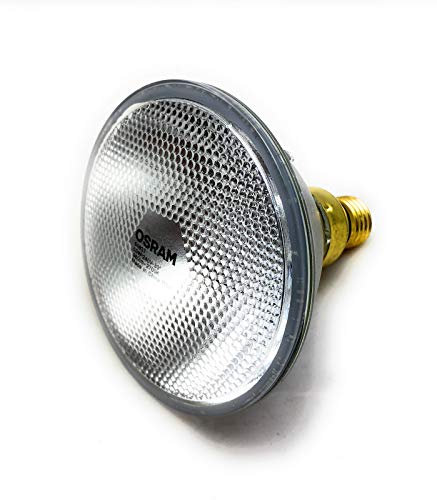 OSRAM 64837 FL Halopar 38 Strahler 50 Watt 30° Flood Ganzglas Reflektor