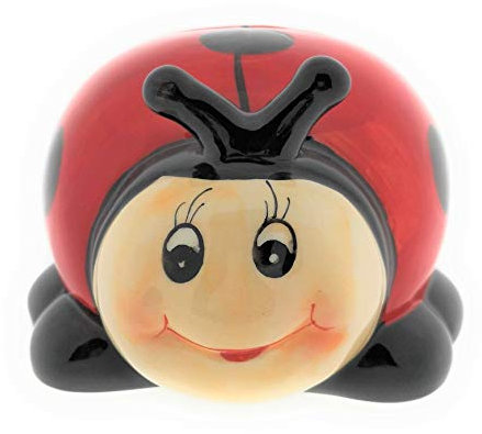 Lady Bug Children Small Lockable Piggy Bank Money Box with Lock and Key Money Box