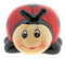 Lady Bug Children Small Lockable Piggy Bank Money Box with Lock and Key Money Box