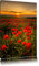 Pixxprint Wunderschöne Mohnwiese im Sonnenuntergang, Größe: 100x70cm, Leinwandbild, fertig gespannt, Wandbild, Dekoration, Kunstdruck, kein Poster