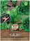Sperli Asia-Salatsamen Red & Green 83058 - kübelgeeignet - ideal für die Asia-Küche - Inhalt für 5 laufende Meter - Salatmischung, Exotic-Samen, Saatband