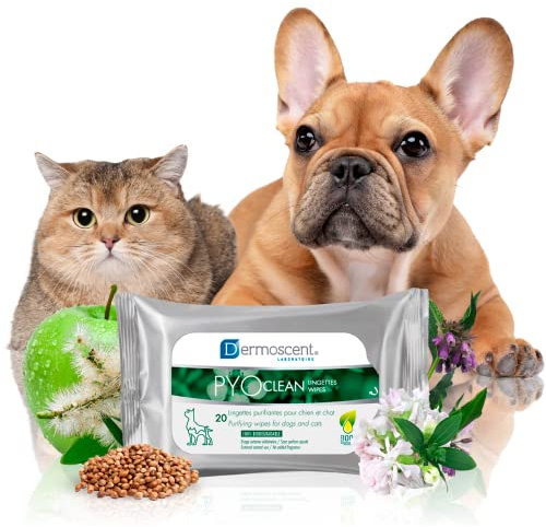 PYOClean Tücher für Hunde und Katzen | Reinigende Hautpflege mit Hanfsamenöl | Seifenfrei und sanft | Ideal für die Erhaltung des Hautgleichgewichts | 20 Tücher
