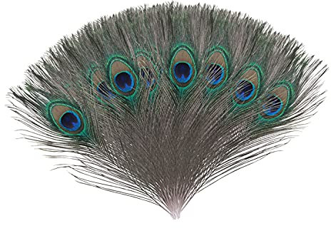 Trimming Shop - 10 Stück / 25-30 cm Pfauenaugen Schwanzfedern - Pfau Auge Federn Lange, Natürliche Deko zum Basteln, Heimdekoration, für Kostüme, Hochzeitsmittelpunkte - Blau - 10-12 Zoll