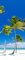 Melis-Folienwerkstatt Tür-tapete Tür-Poster selbstklebend – Palmen am Strand Urlaub Südsee Karibik – 90x205cm - Foto-tapete Tür-Folie – T00014-1-teilig