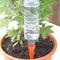 easylife lifestyle solutions Automatic Watering Spikes | Slow-Drip Delivers Water Deep into the Soil | Add Fertiliser or Plant Food | For Tender Leaf Plants | L15xDia3cm Pack of 8