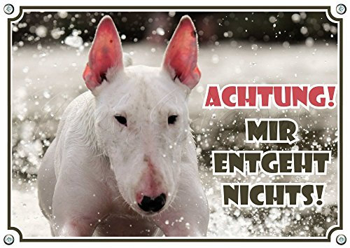 Petsigns Hundeschild weißer Bullterrier - Achtung! Schild Warnschild aus Metall, 2. DIN A4
