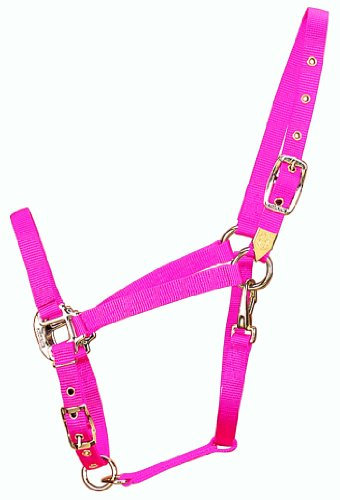 Hamilton 3/4-Inch Nylon Arabian Horse Halter with Adjustable Chin and Throat Snap, Small, 500 to 800 pounds, Hot Pink