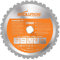 Evolution Power Tools RAGE230BLADE 9-Inch Multipurpose Cutting Blade for Steel, Aluminum, Wood with Nails in, and Plastics