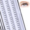 Kurtzy Faux Cils Individuel (Lot de 4) - Longueur de 8, 10, 12 et 14 mm - Extensions de Cils de Qualité Courts et Longs pour Courbe, Longueur, Volume et Épaisseur - Look Naturel et Spectaculaire