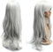 Dazone Silber Perücken 70CM Lange lockige Haar Perücken für Damen, Natürlich Synthetische Hitzebeständige Perücken für Alltag/Party/Cosplay