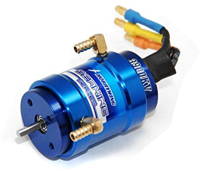 HobbyWing Seaking 3900Kv-2848Sl Motor HW90070010