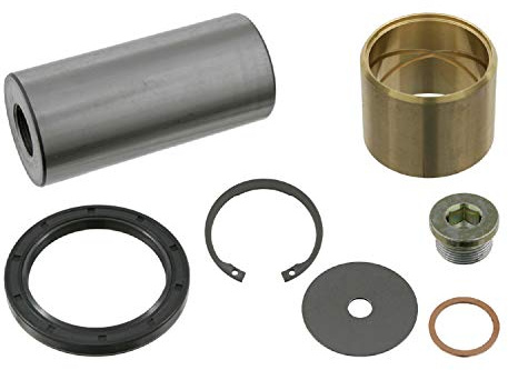 febi bilstein 05869 King Pin Set single set, pack of one