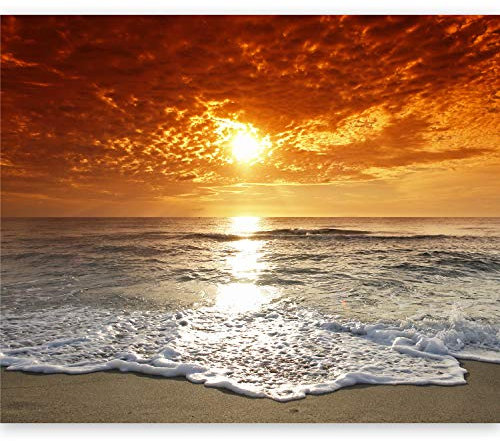 Wallpaper 300x231 cm - Non-woven - Murals - Wall - Mural - Photo - 3D - modern - nature 100403-257